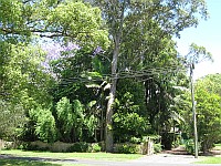 NSW - Brushgrove - Forested Residence (12 Nov 2010)